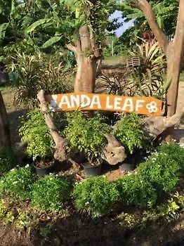 Lanta Andaleaf Bungalow - Sha Extra Plus 코란타 리조트